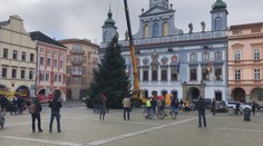 V Českých Budějovicích už mají vánoční strom, rozsvícení proběhne online