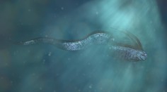 Neuvěřitelné záběry: Objevila se ryba předpovídající pohromu. Lidé jsou v šoku