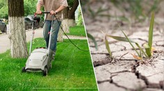 Sekat či nesekat trávu kvůli suchu? Neshodnou se ani odborníci. ANKETA