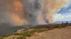 Evropu sužuje sucho. Řeky dramaticky rychle vysychají a státům chybí voda