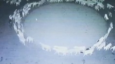 VIDEO: Záhada, která nemá obdoby! Stádo ovcí už přes 10 dní chodí v kruhu