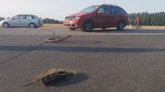 Cyklista skončil v předním skle auta, kolo je napůl. Bojuje o život