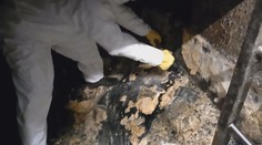 Nevylévejte tuky do odpadů, prosí čistírny. Před Vánoci prochází čištěním
