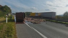 Nehoda kamionu na jihu Čech: Kusy mrtvých zvířat zablokovaly silnici u Písku
