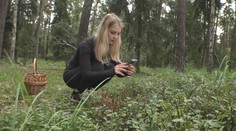 Aplikace na rozpoznávání rostlin a hub jsou stále oblíbenější. Využívají je i vědci