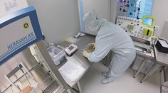 Lékem na rakovinu můžou být smrtící roboti. Běžným okem je ani neuvidíte