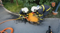 Žena se v Ostravě zasekla v kanálu, museli ji vyřezat hasiči! VIDEO