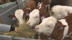Unijní ministři zemědělství se sešli na jednání. Řeší rybolov i podporu farmářů