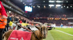 Odešel klubový kozel! Německý Kolín oplakává velkou ztrátu
