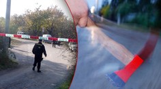Muž měl ženu roky týrat. Když si pozvala vnučku, vytáhl na obě sekeru