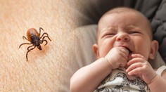 Repelent nebo očkování? Pediatr radí, jak ochránit děti před klíšťaty