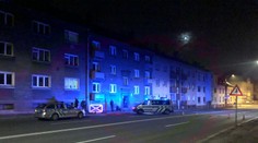 Pejskař přecházel ulici a srazilo ho auto. Muž je zraněný, pes nepřežil