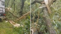 Na stany padají větve a stromy! Kemp přesto dál přijímá návštěvníky