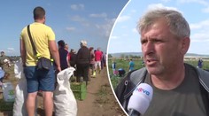 Farmář nabídl zeleninu za pakatel. Lidé ji kradli a vyhrožovali mu zabitím