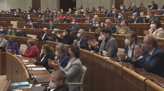 V Rakousku skončil plošný lockdown. Omezení platí dál v řadě spolkových zemí