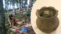 Pes k nezaplacení: Fenka Máša našla na Valašsku stříbrný poklad