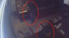Šperky za miliony mohou být v lese! Hledají je policejní psi