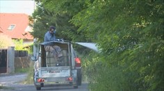 Jedovatým postřikem hubilo město plevel i u hřišť! Lidé si vymohli zákaz