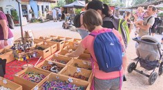 Kultura, hudba a koncerty. V zoo ve Dvoře Králové probíhají africké dný