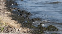 Čechy zklamala dovolená v Polsku. Žumpa oproti moři voní, zoufá si turistka