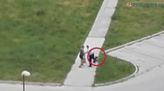 Sebeobrana, nebo surový útok? Strážník kopal do psa! VIDEO