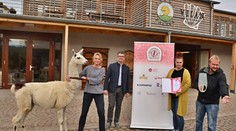 Milovníci vína mají jasno. Podívejte se, který vinařský cíl je nejoblíbenější