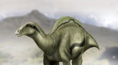 Vědci objevili ve Španělsku nový druh dinosaura. S vějířem