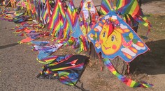Sezóna drakiád je v plném proudu. Podívejte se, na kolik vás drak vyjde