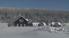 Týdenní předpověd: Bude až 12 °C! Po oteplení se do Česka vrátí mrazy