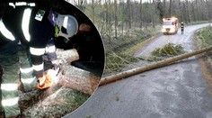 Českem se prohnala vichřice! Padaly stromy, létaly střechy