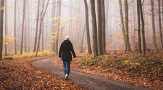 Česko zůstane bez slunečního svitu. Někde paprsky nezahlédnete vůbec