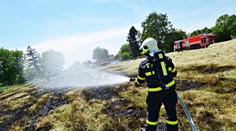 Kvůli požáru zasahovalo 13 jednotek hasičů! Hořelo pole s obilím