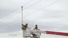 Energetici instalují na dráty ochranné prvky. Mají bránit zbytečným úmrtím ptáků