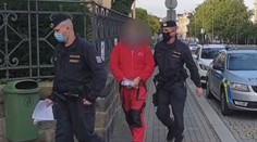 Mladík na Karlovarsku měl zavraždit seniora. Hrozí mu doživotí!