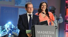 Šikana a domácí násilí. Rozhádaní exmanželé míří do Sněmovny