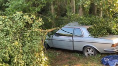 Řidič se vyhýbal mrtvé zvěři a narazil do stromu. Na místě zemřel