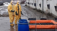 Ptačí chřipka se znovu šíří Českem. Veterináři letos odhalili už 12 ohnisek