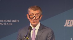 Andreje Babiše zvolili předsedou hnutí ANO, byl jediným kandidátem