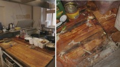 Fotogalerie: Inspekce uzavřela další nechutnou restauraci!