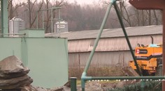 Na Havlíčkobrodsku likvidovali slepice. Potvrdila se u nich ptačí chřipka