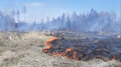 Požár travního porostu zaměstnal hasiče na Jihlavsku. S hašením pomáhá vrtulník