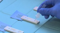 Pandemie koronaviru zpomaluje. Počet zemřelých pacientů ale roste