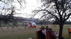 Řidič (38) vyjel ze silnice a narazil do stromu, za jeho zády seděly dvě děti