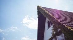 Dům za 1,5 milionu, chatka za 900 tisíc. Stát se zbavuje majetku