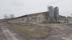 Na Pardubicku je další ohnisko ptačí chřipky. Opět se jedná o velký chov