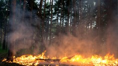 ČHMÚ vydal výstrahu. Kvůli úmorným vedrům v Česku hrozí nebezpečí požárů
