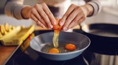 Bojíte se jíst vejce kvůli cholesterolu? Odborníci zjistili, jak to s nimi je