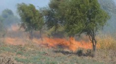 Chile vyhlásilo státní smutek. Při požárech zahynulo nejméně 112 obětí