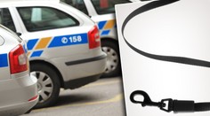 Honza (26) uškrtil prostitutku (†65) vodítkem! Soud ho potrestal