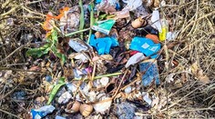 Senior v Plzni půl roku vyhazoval odpad do lesa. Přišel s šokujícím vysvětlením